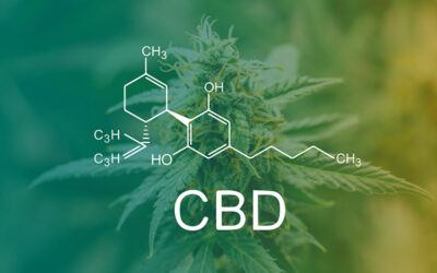 CBD as an opioid alternative for dental pain